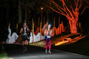 BIB: 
                            <button type="button" onclick="openModal(22510765)" class="btn btn-primary btn-sm float-right btn-popup" data-toggle="modal" data-target=".modal-high-quality">
                        <i class="fas fa-shopping-cart"></i> Add to Cart
                    </button>
                                            <button type="button" onclick="isThisMe(22510765, true)" class="btn btn-success btn-sm float-right btn-popup btn-isme hidden" data-toggle="tooltip" data-placement="bottom" title="นี่คือรูปของคุณใช่ไหม คลิกที่นี่เพื่อเอาเข้าอัลบั้ม">
                        <i class="fas fa-plus"></i> Add to album
                    </button>
                    <button type="button" onclick="isThisMe(22510765, false)" class="btn btn-warning btn-sm float-right btn-popup btn-isnotme hidden">
                        <i class="fas fa-ban"></i> Remove from album
                    </button>